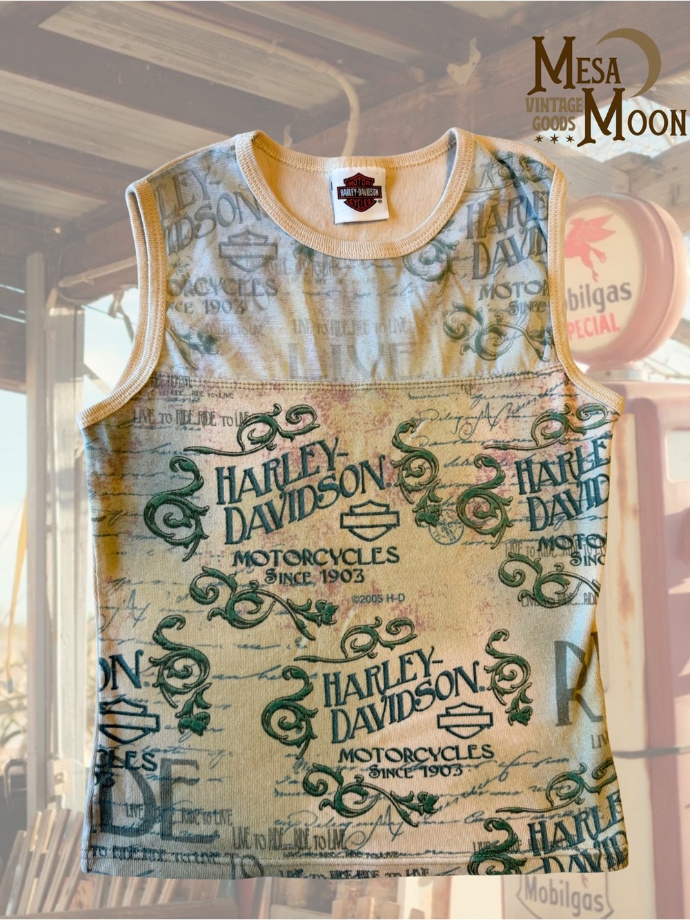 Vintage 2005 Harley-Davidson Kamloops Sleeveless Graphic Tank Top
